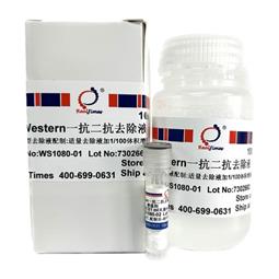 Western一抗二抗去除液（中性，劇烈型）