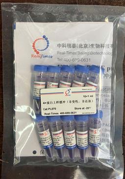 4×蛋白上樣緩沖（非變性，非還原）