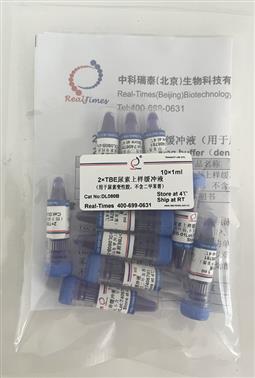 2×TBE尿素上樣緩沖液（用于尿素變性膠，不含二甲苯菁）