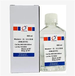 Western一抗二抗去除液（弱堿，溫和型）